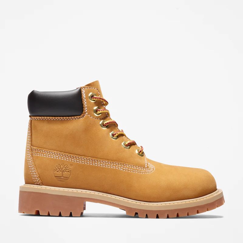 Timberland premium 6-inch boot