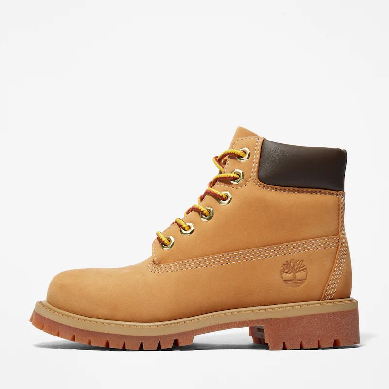 Timberland premium 6-inch boot